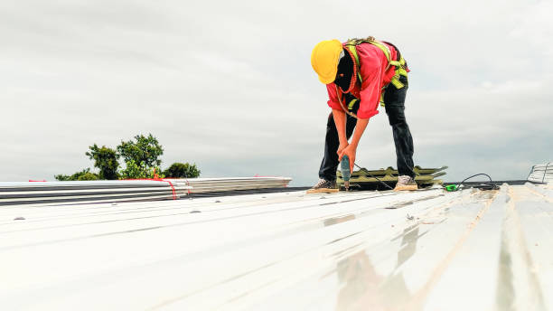 Best Roof Moss and Algae Removal  in Boulevard Park, WA