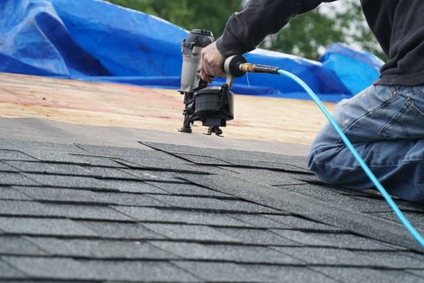 Best Roof Leak Repair  in Boulevard Park, WA