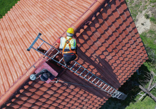Best Steel Roofing  in Boulevard Park, WA